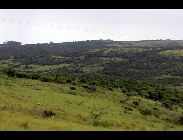 168HA FARM FOR SALE IN EAST LONDON RURAL